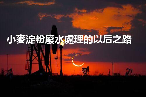 小麥淀粉廢水處理的以后之路：創(chuàng)新與可持續(xù)進(jìn)展？